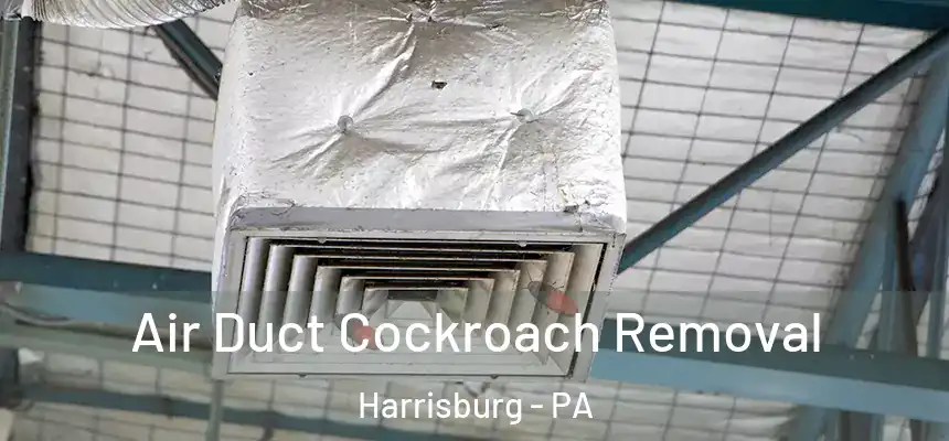  Air Duct Cockroach Removal Harrisburg - PA