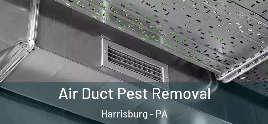  Air Duct Pest Removal Harrisburg - PA