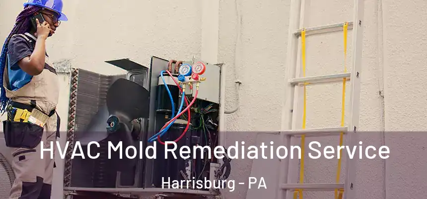  HVAC Mold Remediation Service Harrisburg - PA