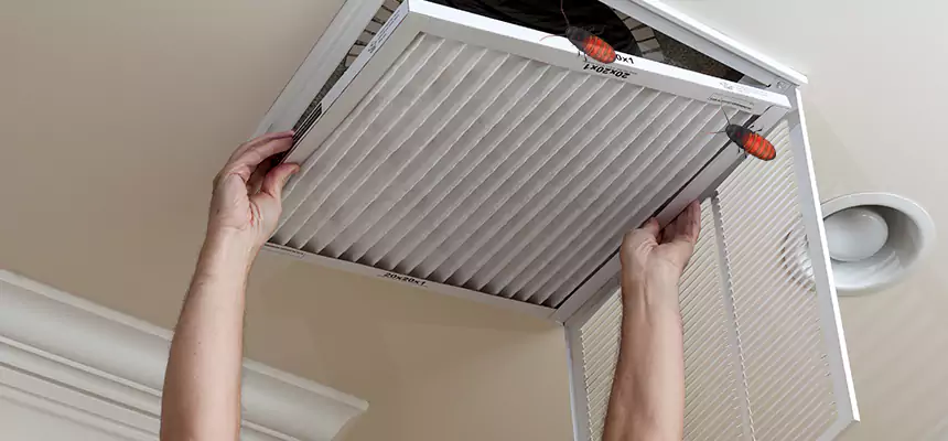 Preventive Cockroach-Proofing for Ducts in Harrisburg