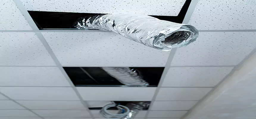 Affordable HVAC Sanitizing After Pest Removal in Harrisburg