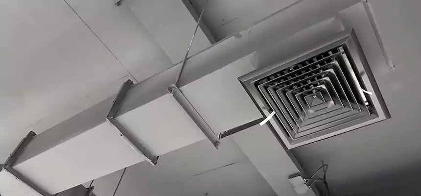 Our Rodent Droppings In Vents Services in Harrisburg, PA