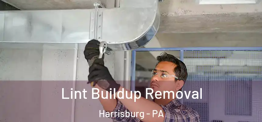 Lint Buildup Removal Harrisburg - PA