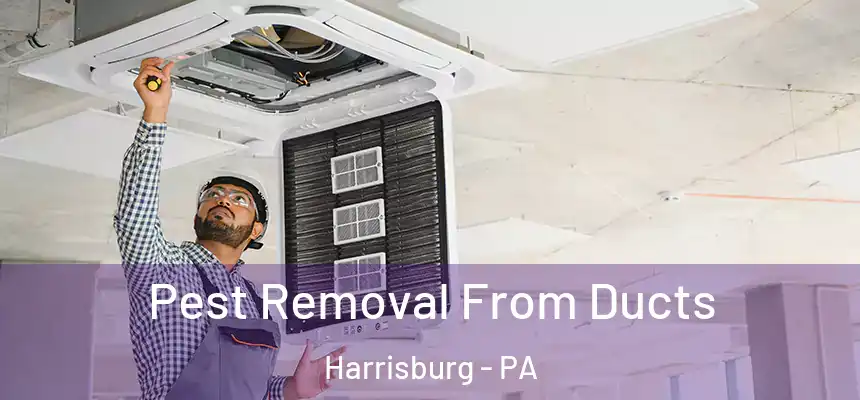  Pest Removal From Ducts Harrisburg - PA