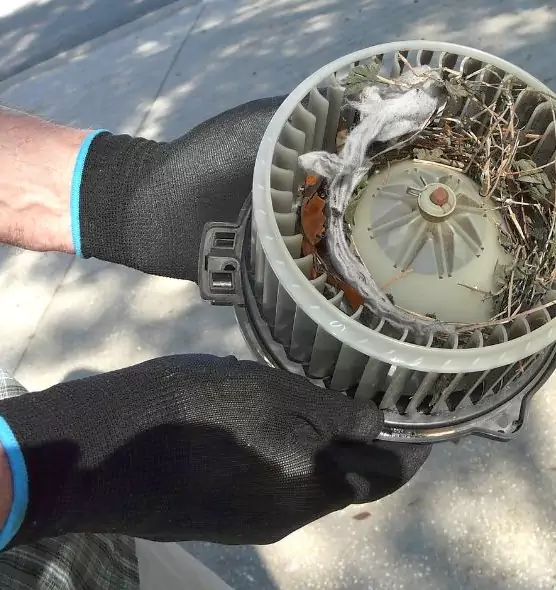 About Air Duct Rat Removal in Harrisburg, PA