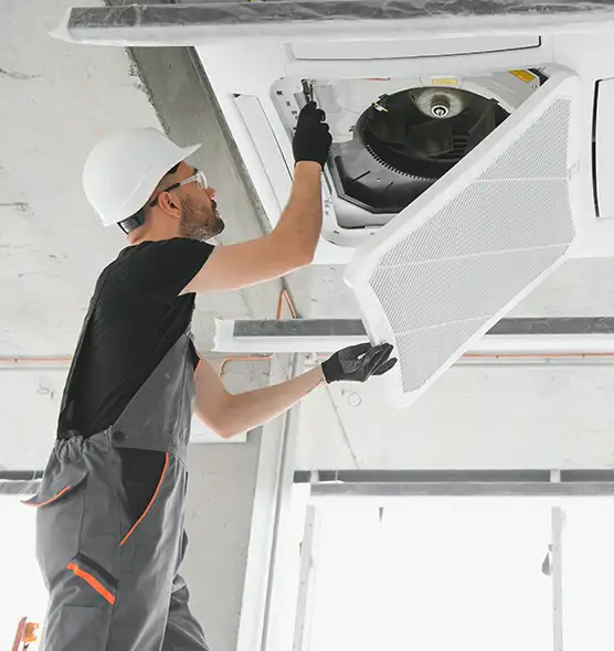 About Air Duct Rodent Removal in Harrisburg, PA