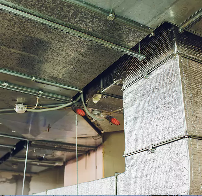 Why Homeowners & Businesses Trust Us in Harrisburg, PA?